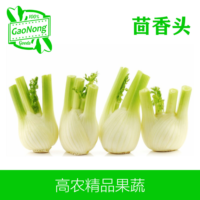 【高农果蔬】新鲜茴香头西餐配料调料用品球茎味浓沙拉茴香菜