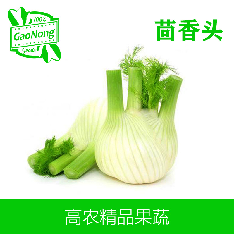 【高农果蔬】新鲜茴香头西餐配料调料用品球茎味浓沙拉茴香菜