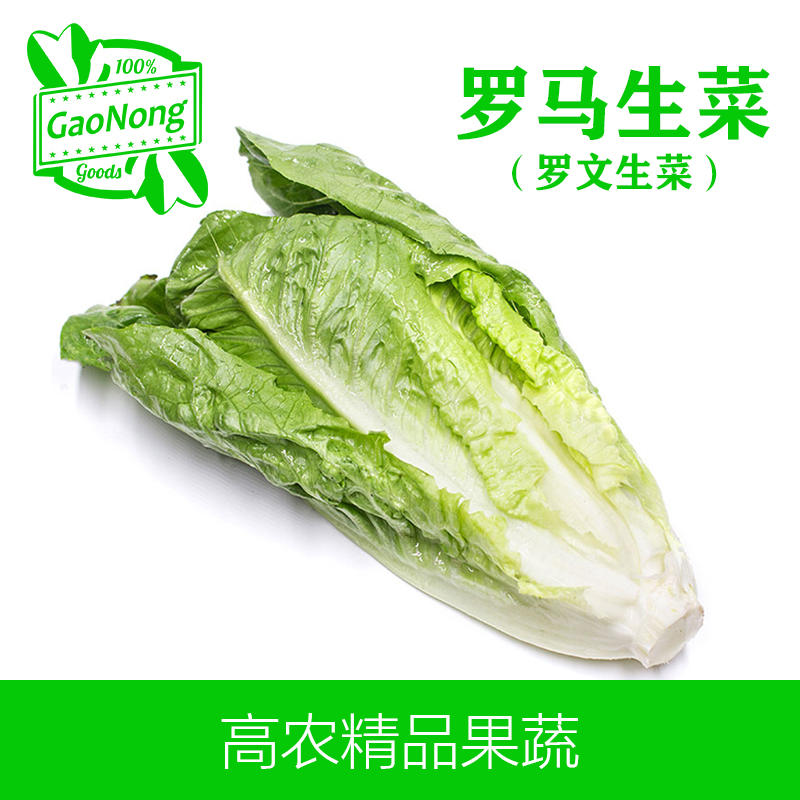 【高农果蔬】新鲜罗马生菜罗文生菜沙拉菜西餐即食蔬菜