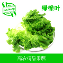 【高农果蔬】绿橡叶新鲜蔬菜沙拉生菜食材生吃色拉沙拉蔬菜