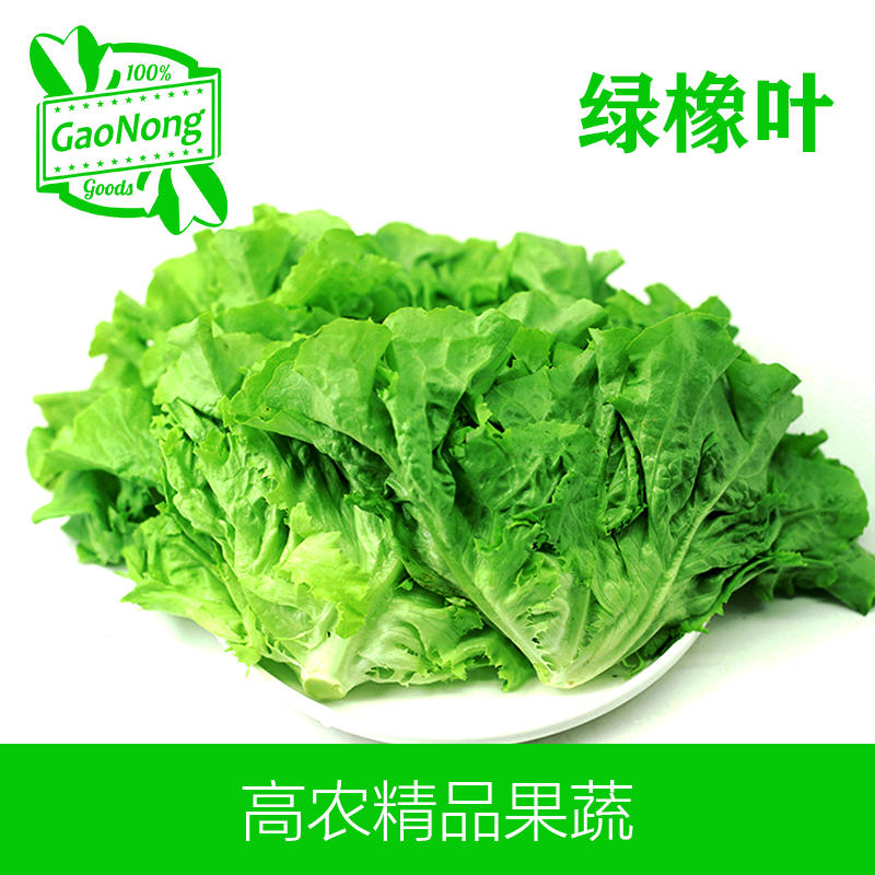 【高农果蔬】绿橡叶新鲜蔬菜沙拉生菜食材生吃色拉沙拉蔬菜