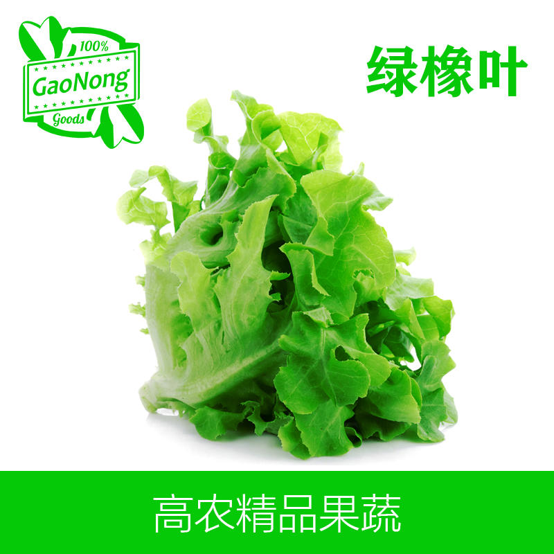 【高农果蔬】绿橡叶新鲜蔬菜沙拉生菜食材生吃色拉沙拉蔬菜