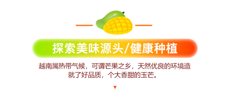 越南进口玉芒10斤芒果当季新鲜现摘水果特大青皮甜心忙整箱