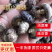 优质2-3公分干香菇产地直供欢迎选购！