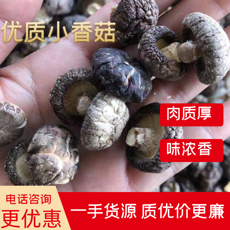 优质2-3公分干香菇产地直供欢迎选购！