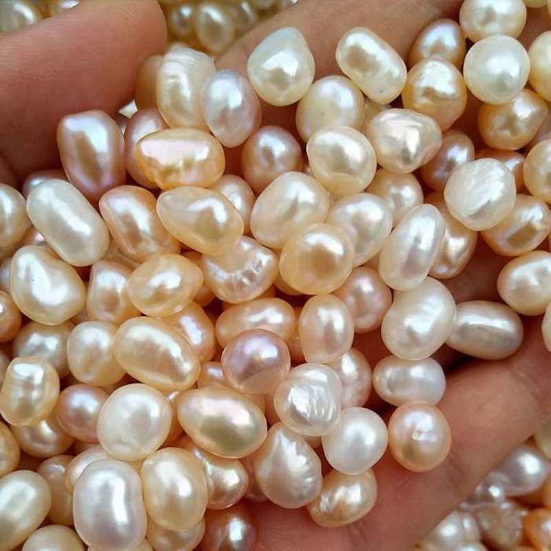 珍珠淡水漂白尾巴珍珠颗粒饱满药食两用中药材零售