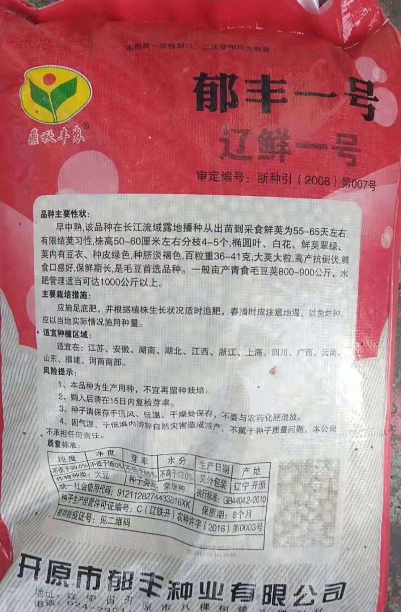 早中熟青毛豆种子大荚大粒高产抗倒伏鲜食口感好保鲜期长