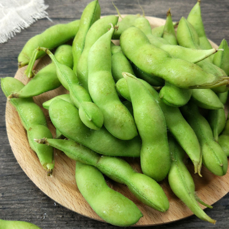 早中熟青毛豆种子大荚大粒高产抗倒伏鲜食口感好保鲜期长