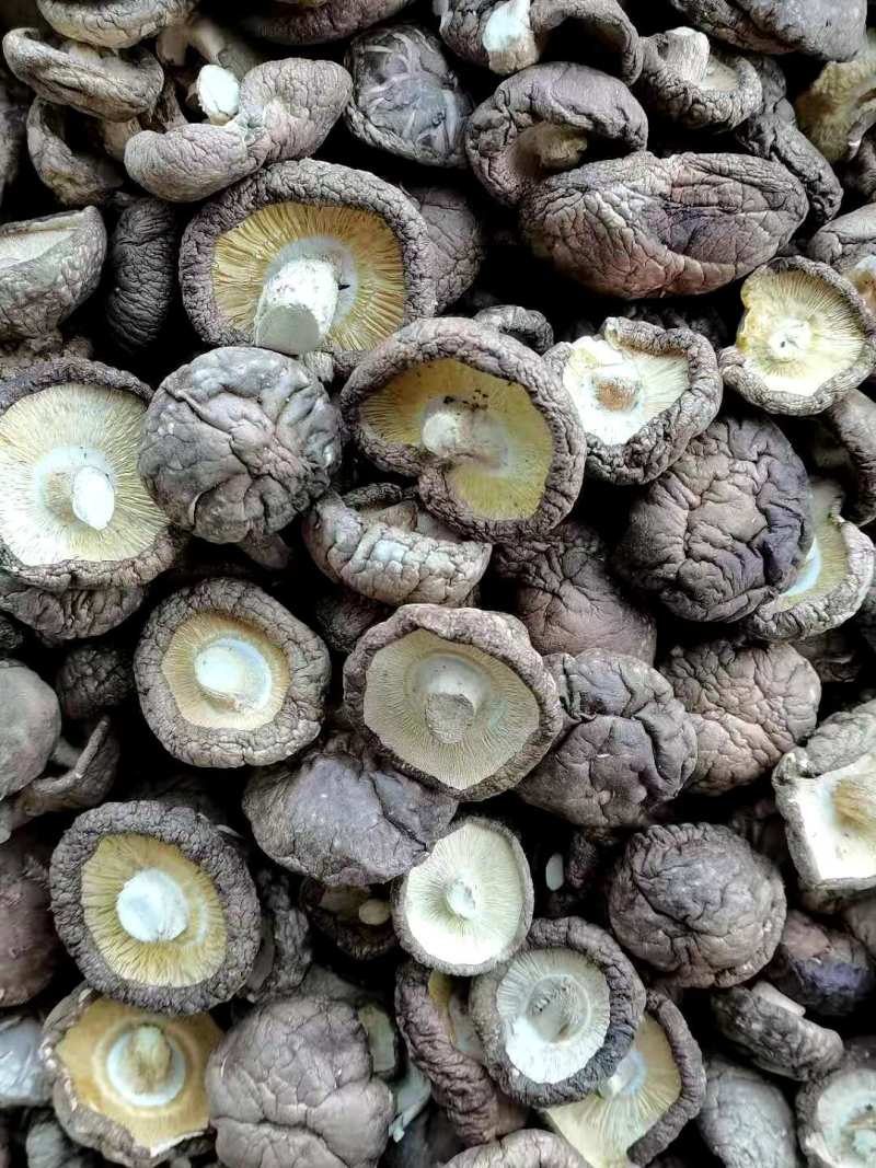干香菇精品干香菇当季新货大小可选产地直发大量现货