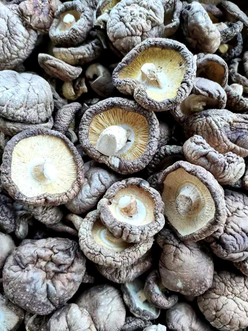 干香菇精品干香菇当季新货大小可选产地直发大量现货