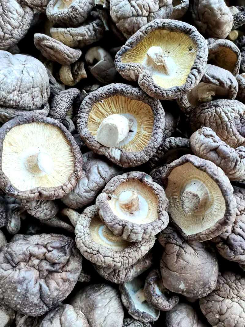 干香菇精品干香菇当季新货大小可选产地直发大量现货
