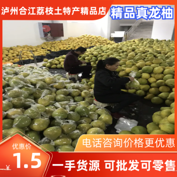 【精品柚子】真龙柚奥运金奖柚子基地一手货源可批发可零售