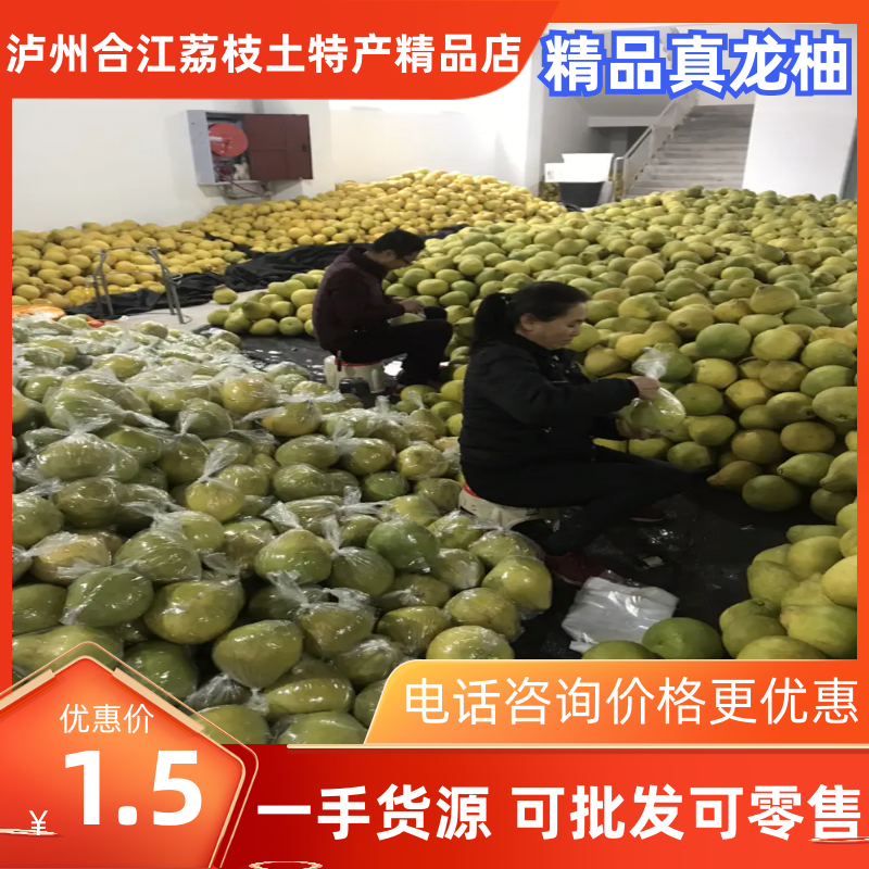 【精品柚子】真龙柚奥运金奖柚子基地一手货源可批发可零售