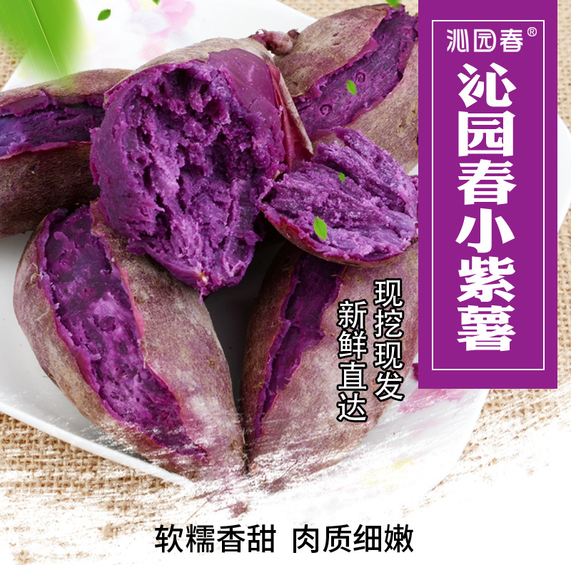 山东紫薯新鲜地瓜农家蔬菜现挖10斤软糯蜜板栗山芋小番薯