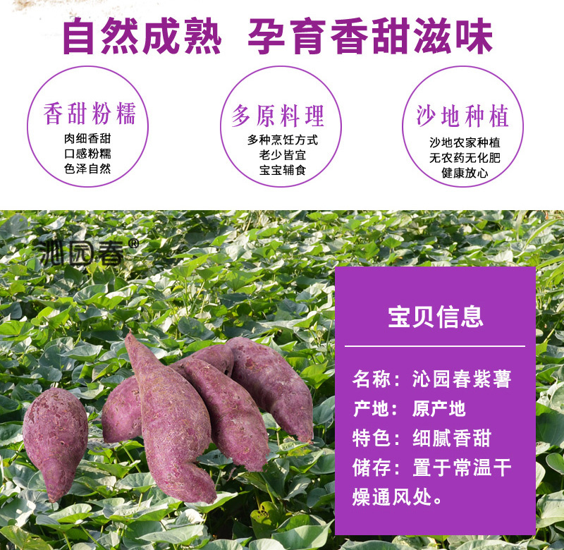 山东紫薯新鲜地瓜农家蔬菜现挖10斤软糯蜜板栗山芋小番薯