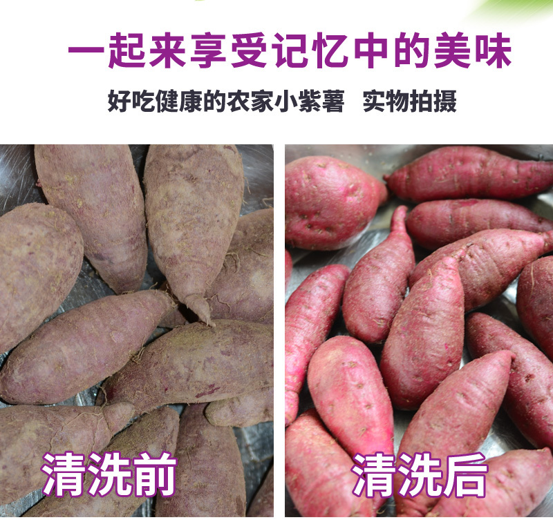 山东紫薯新鲜地瓜农家蔬菜现挖10斤软糯蜜板栗山芋小番薯