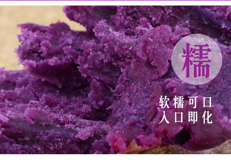 山东紫薯新鲜地瓜农家蔬菜现挖10斤软糯蜜板栗山芋小番薯