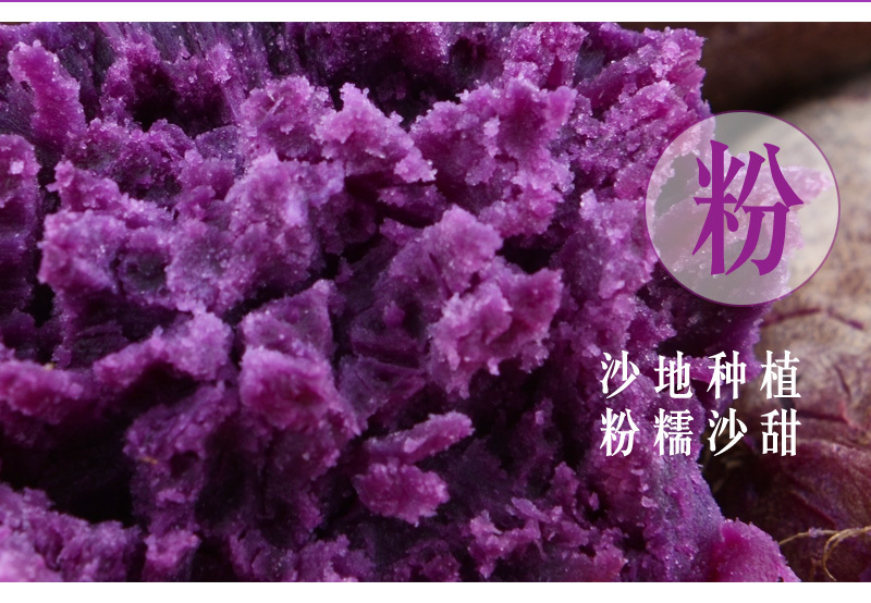 山东紫薯新鲜地瓜农家蔬菜现挖10斤软糯蜜板栗山芋小番薯
