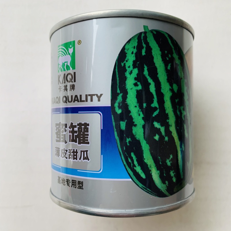 羊角蜜甜瓜种子产量高口感好商品性佳大田用种