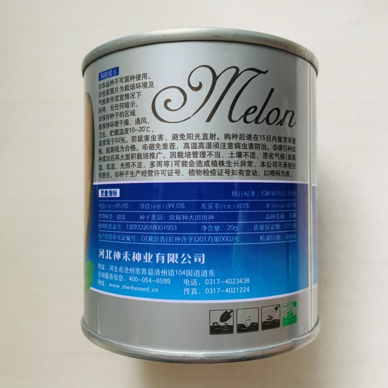 羊角蜜甜瓜种子产量高口感好商品性佳大田用种