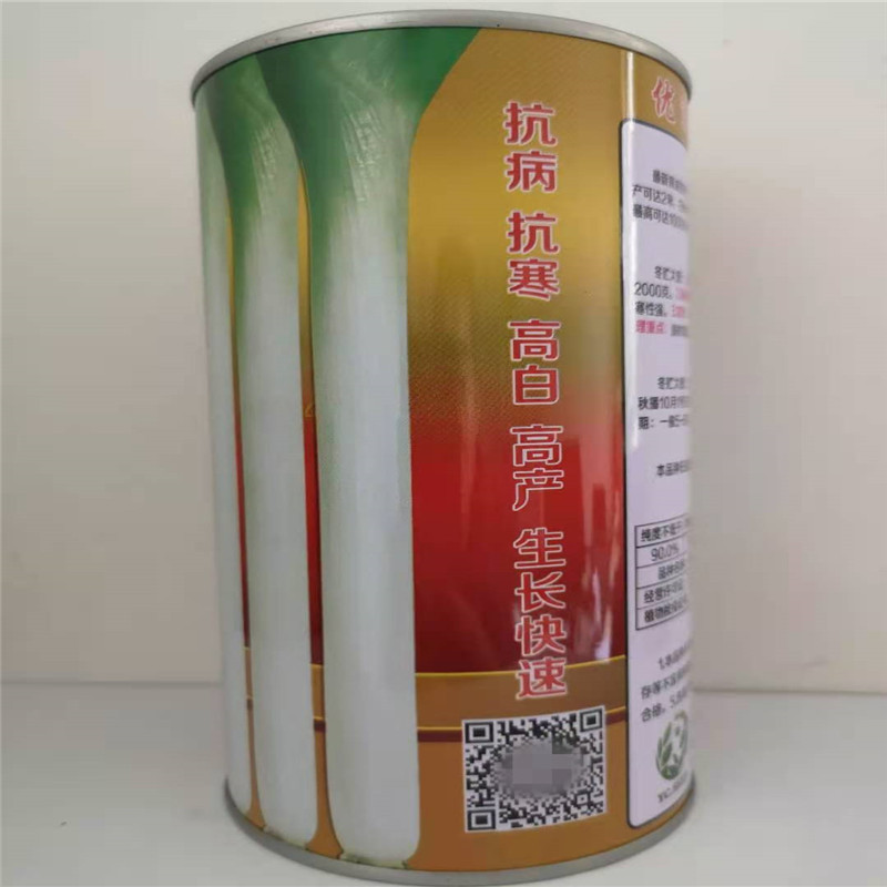 章丘大葱种子高产铁杆巨葱种子四季葱种甜特大抗倒伏葱籽