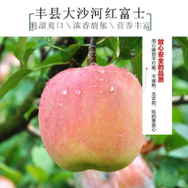 江苏徐州红富士苹果苹果冰糖心，口感脆甜价格优惠欢迎来电