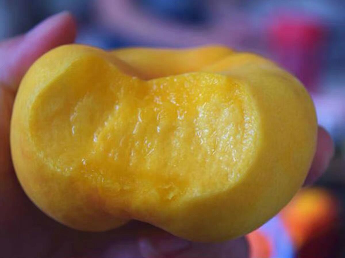 黄桃选购指南图示