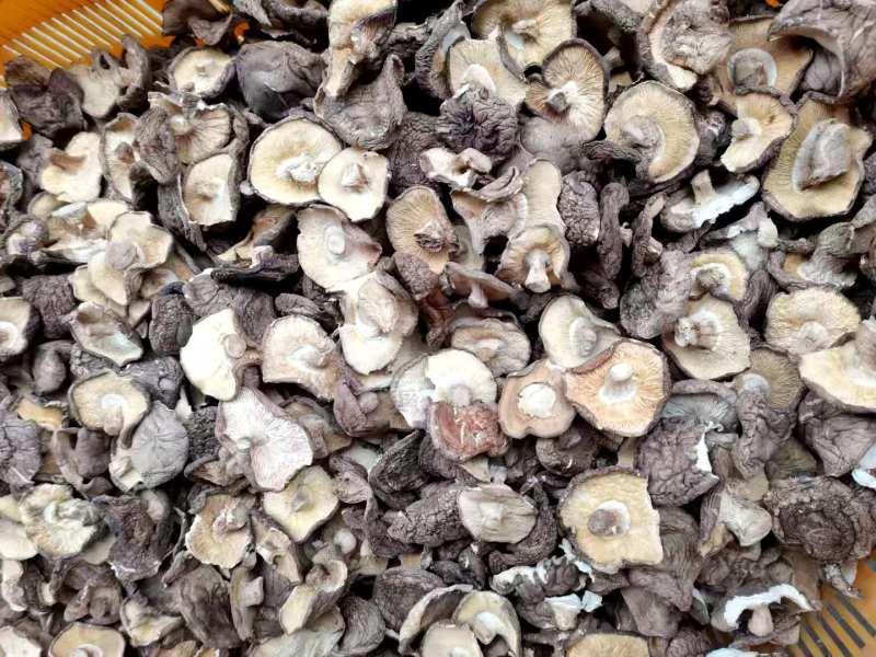 干香菇大薄片干香菇片原产地发货土特产干货源充足稳定