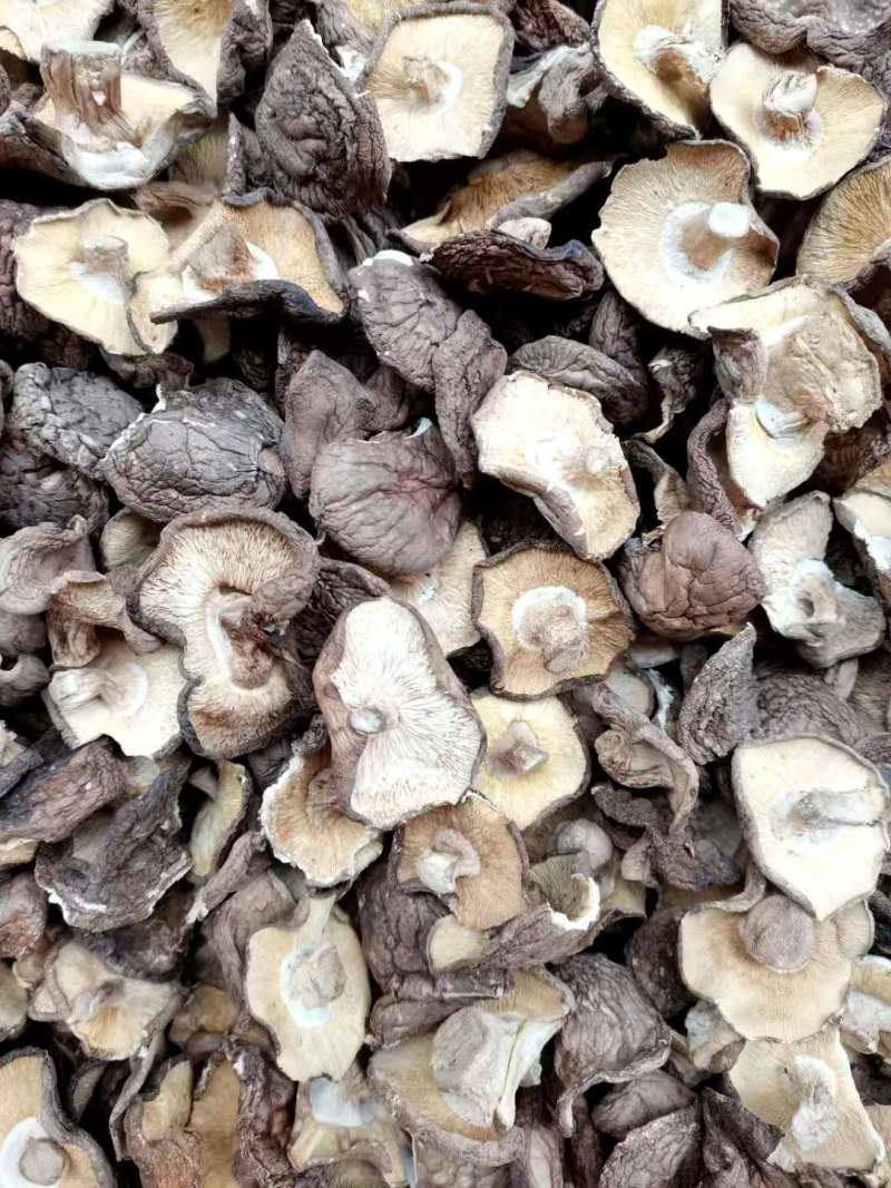 干香菇大薄片干香菇片原产地发货土特产干货源充足稳定
