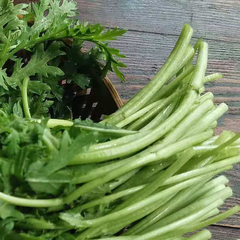 【精品】河北茼蒿大量供应万亩基地直销货源充足可实地考察