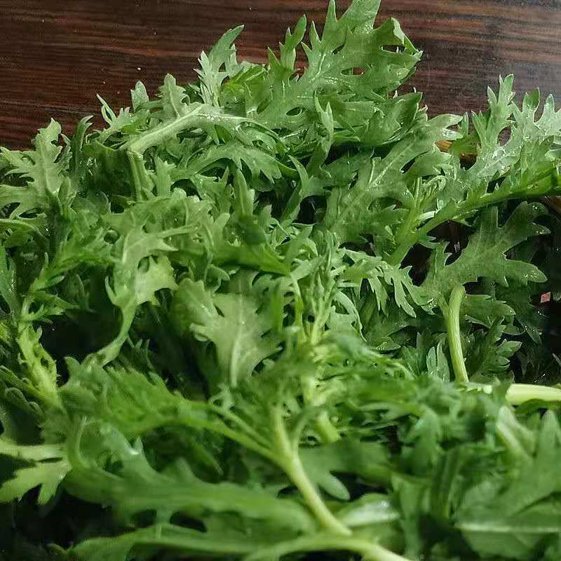 【精品】河北茼蒿大量供应万亩基地直销货源充足可实地考察