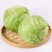 精品河北甘蓝全国发货基地直销货源充足可视频看货量大从优