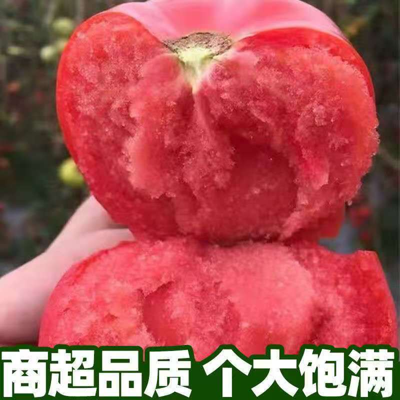 精品河北西红柿全国发货基地直销货源充足可视频看货量大从优