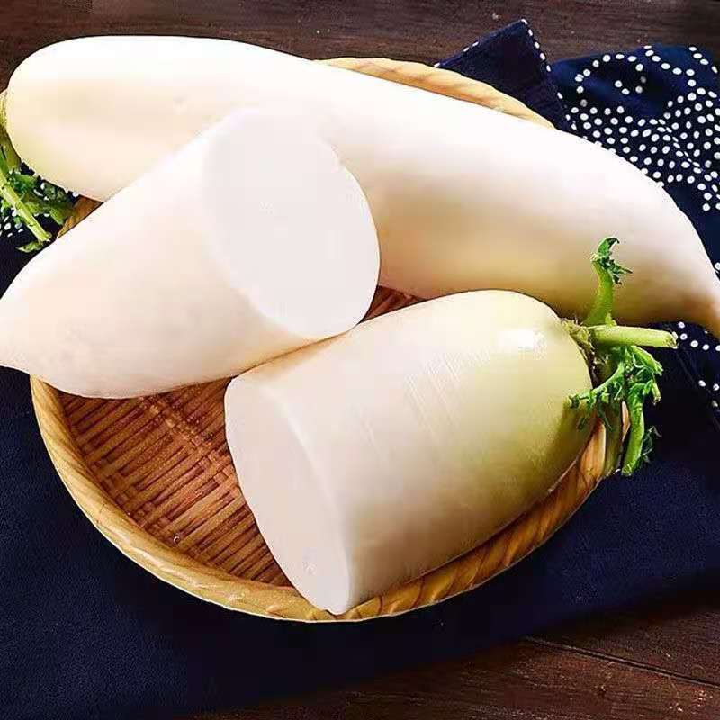精品河北白萝卜全国发货基地直销货源充足可视频看货量大从优