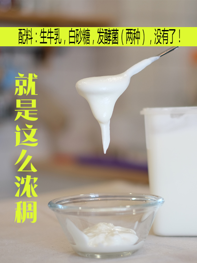 【双仓速发】新疆西域春酸奶老酸奶大桶装整箱2斤4斤水果捞
