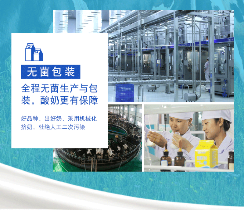 【双仓速发】新疆西域春酸奶老酸奶大桶装整箱2斤4斤水果捞