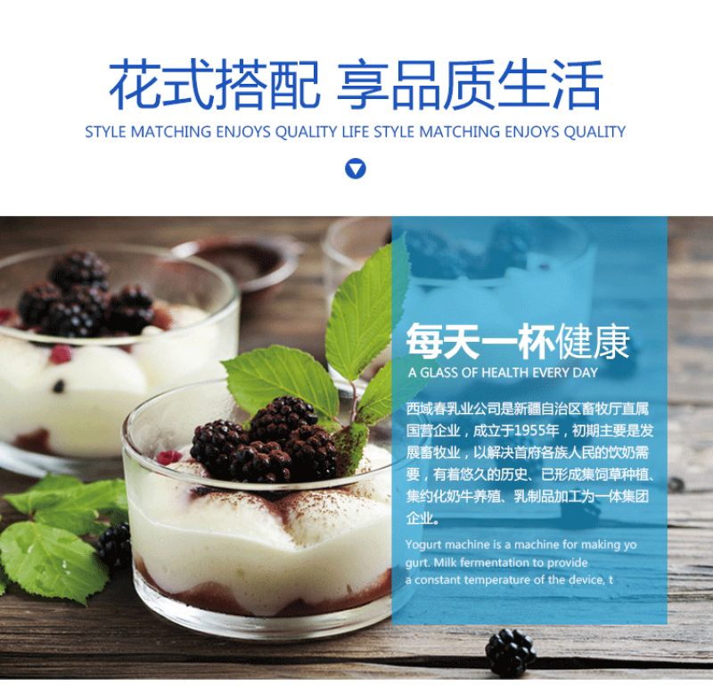【双仓速发】新疆西域春酸奶老酸奶大桶装整箱2斤4斤水果捞