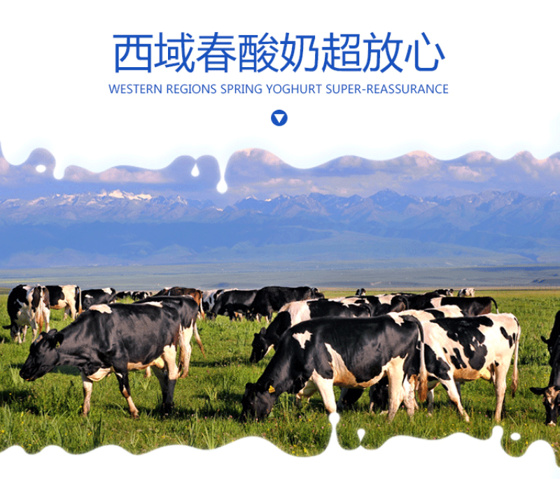 【双仓速发】新疆西域春酸奶老酸奶大桶装整箱2斤4斤水果捞