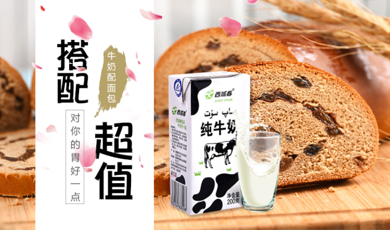 【现货速发】新疆西域春纯牛奶200克*20盒儿童早餐奶全