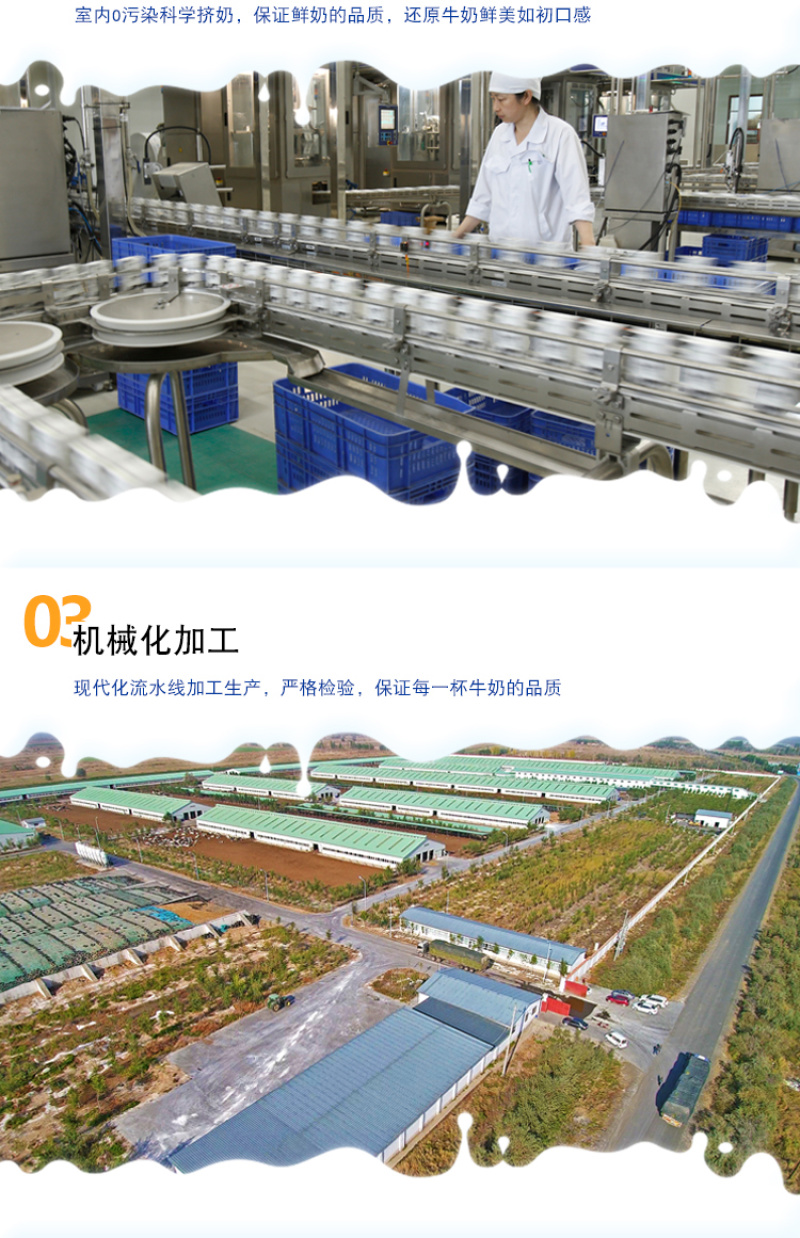 【现货速发】新疆西域春纯牛奶200克*20盒儿童早餐奶全
