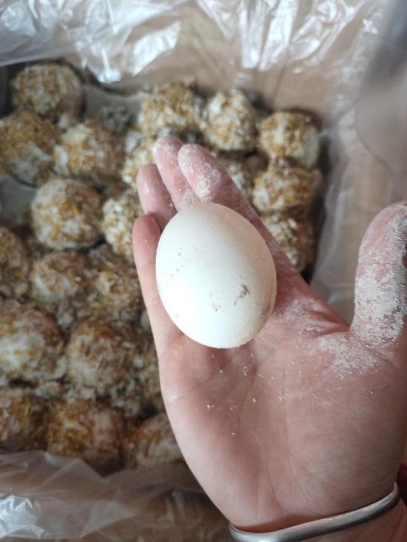 【精品松花蛋】山东无铅松花蛋雪花松花蛋传统工艺厂家直供
