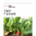 中科茂华蔬菜种子艾丽莎杂交樱桃萝卜种子口感甜脆易种植