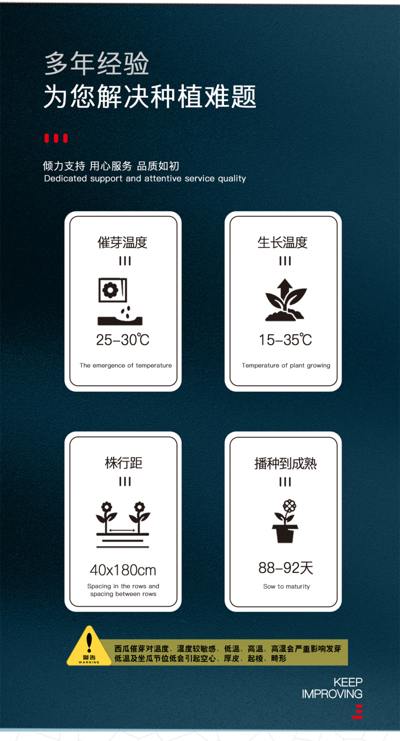 中科茂华懒汉甜王西瓜种子圆形甜红瓤薄皮