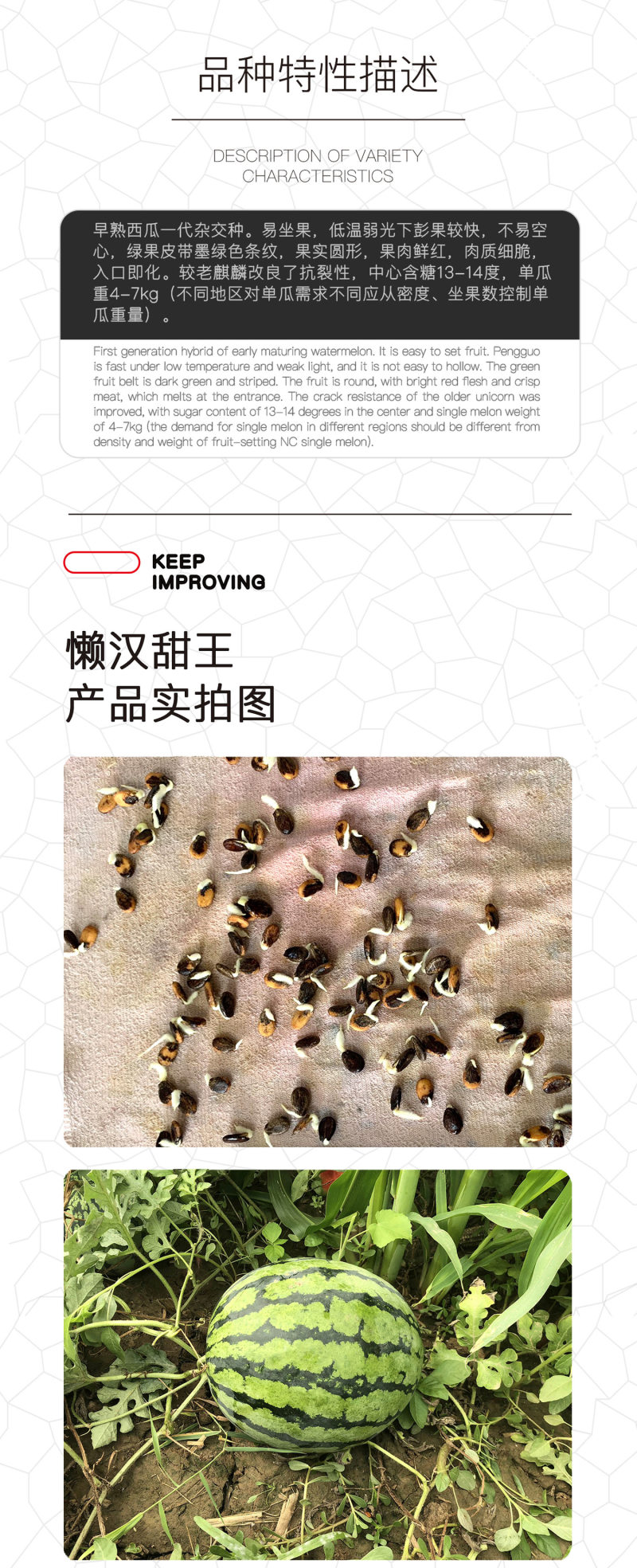 中科茂华懒汉甜王西瓜种子圆形甜红瓤薄皮