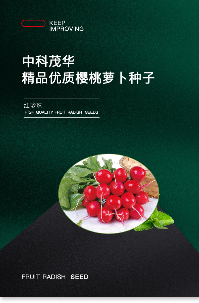 中科茂华蔬菜种子红珍珠樱桃萝卜种子甜脆爽口不康芯阳台盆