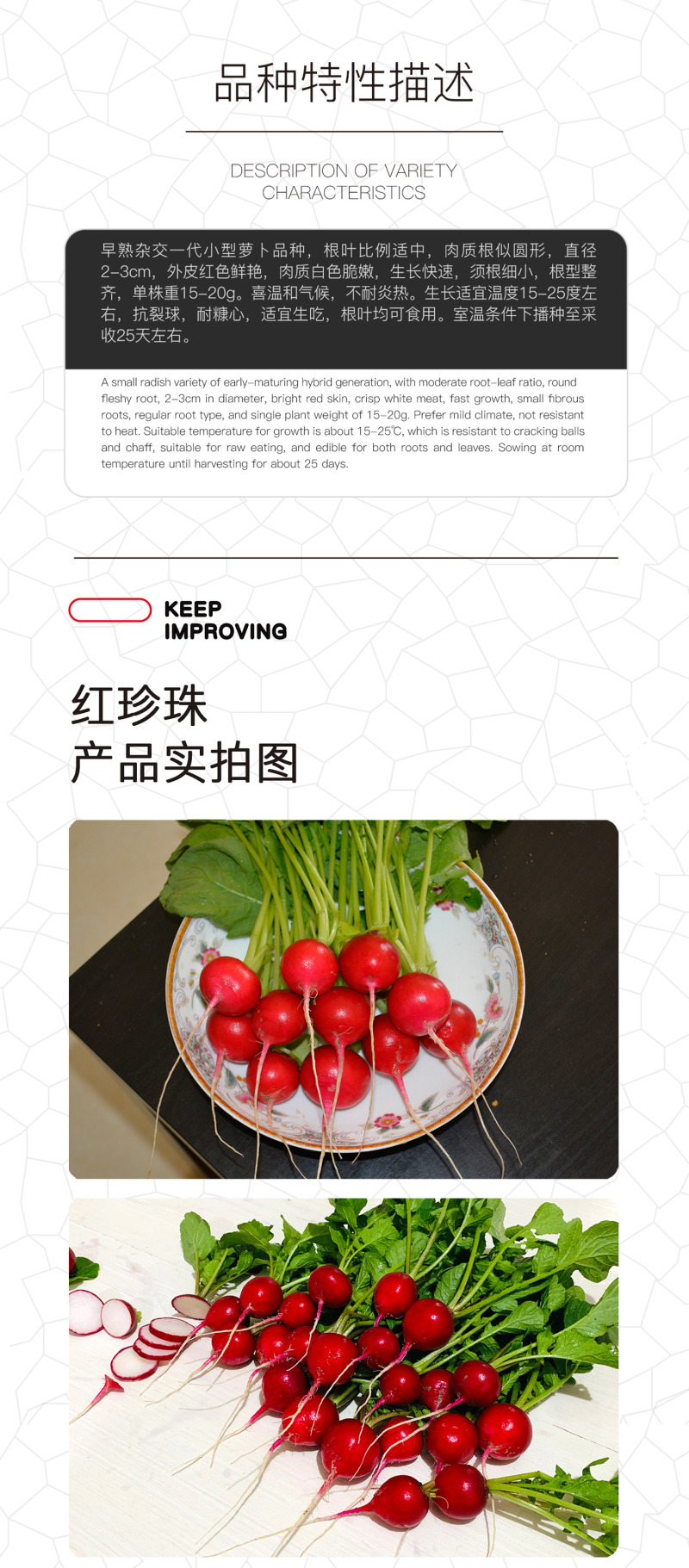 中科茂华蔬菜种子红珍珠樱桃萝卜种子甜脆爽口不康芯阳台盆
