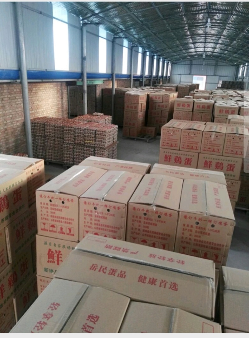 【现捡现发】厂家直销晋岳民土鸡蛋无公害谷物粉蛋360枚