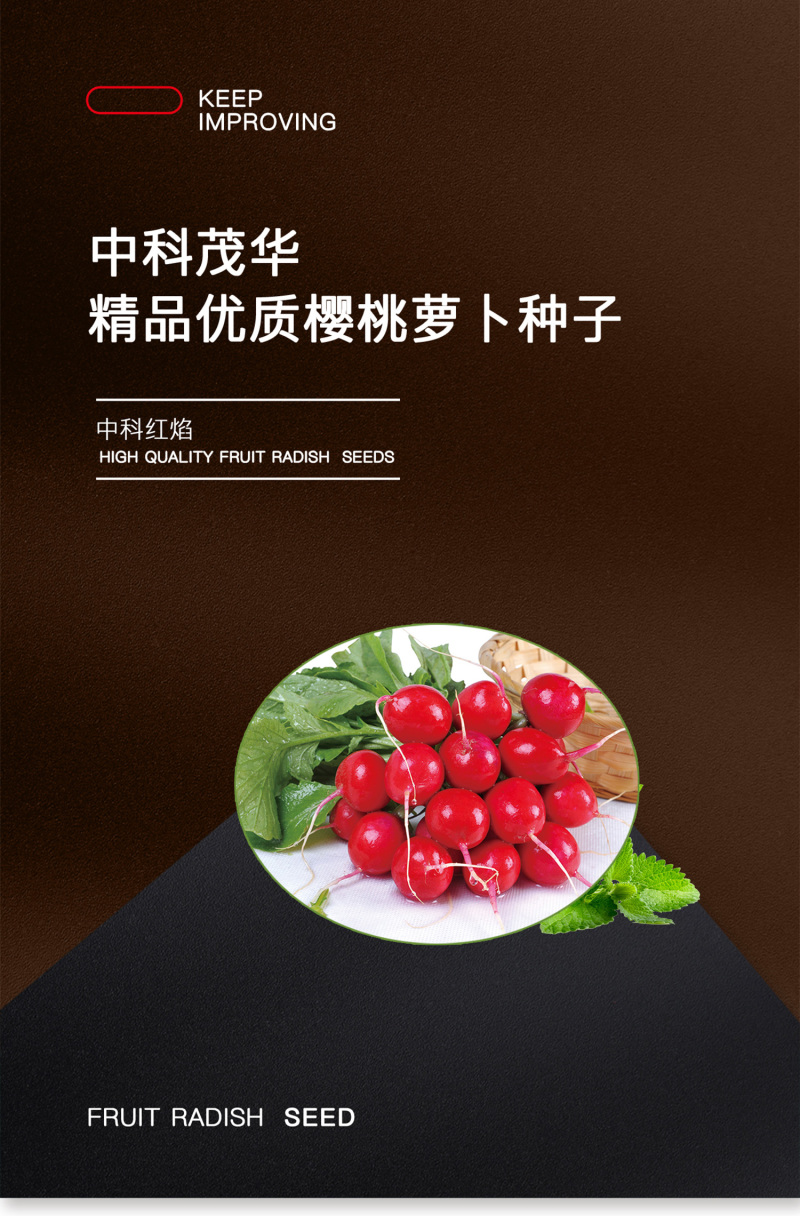 中科茂华蔬菜种子中科红焰杂交樱桃萝卜种子口感甜脆易种植