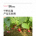 中科茂华蔬菜种子中科红焰杂交樱桃萝卜种子口感甜脆易种植