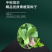 中科茂华蔬菜种子绿抗王杂交青梗菜种子颜色翠绿叶柄宽厚